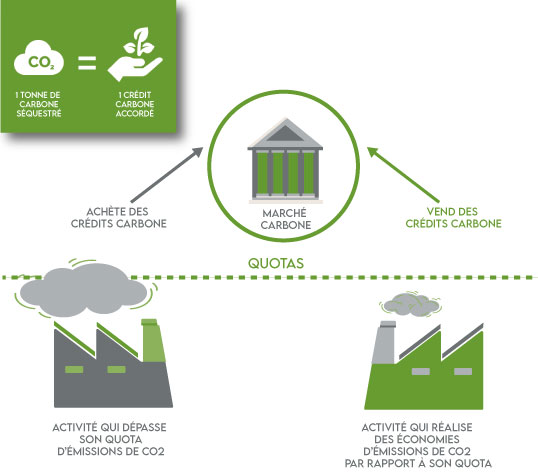 comment fonctionne le credit carbone schema