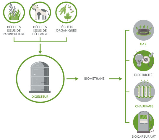 infographie production biomethane biogaz courtage