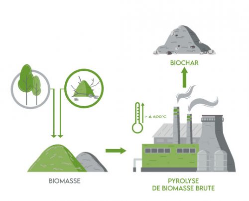 infographie production biochar biogaz courtage